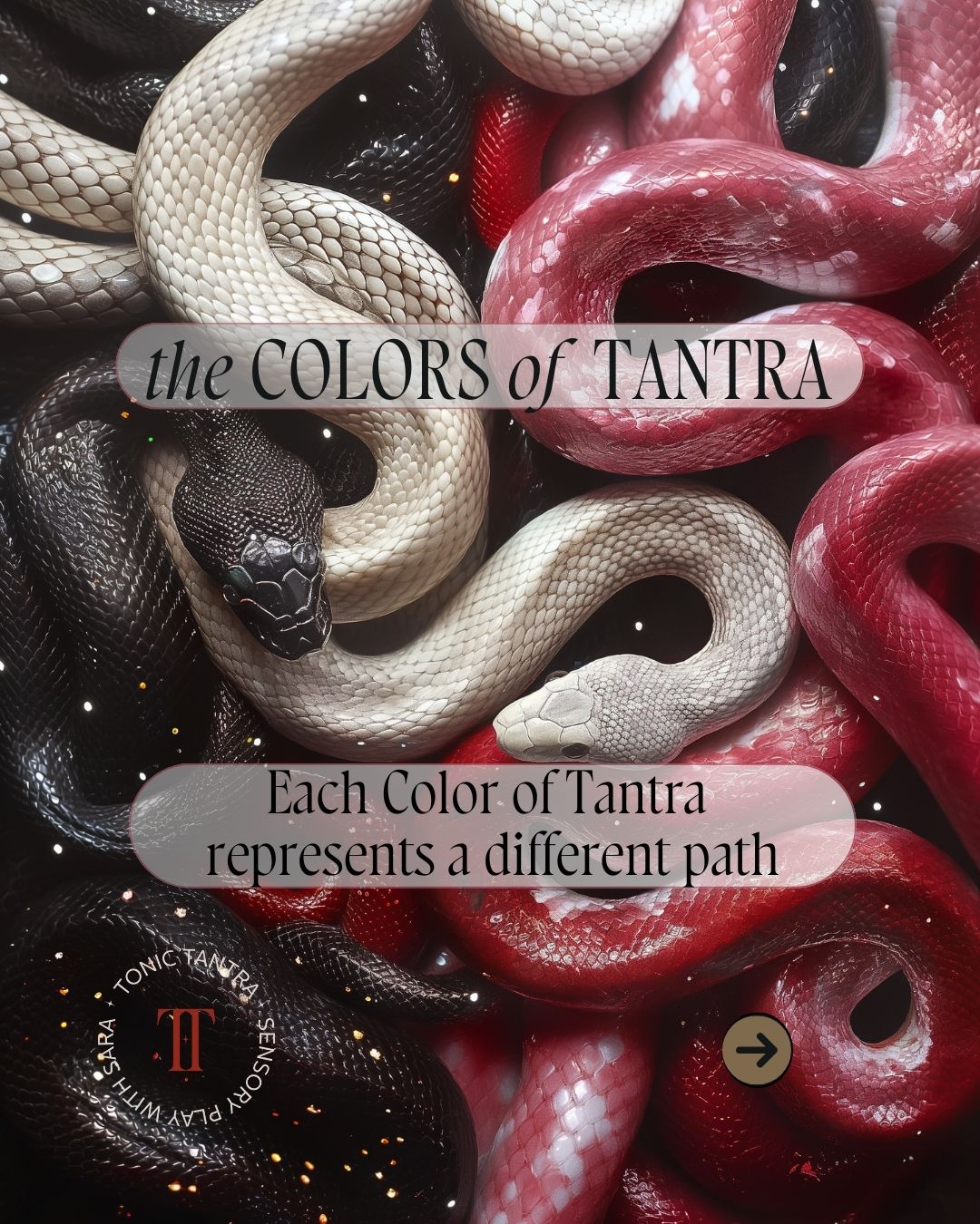 1 the color of Tantra