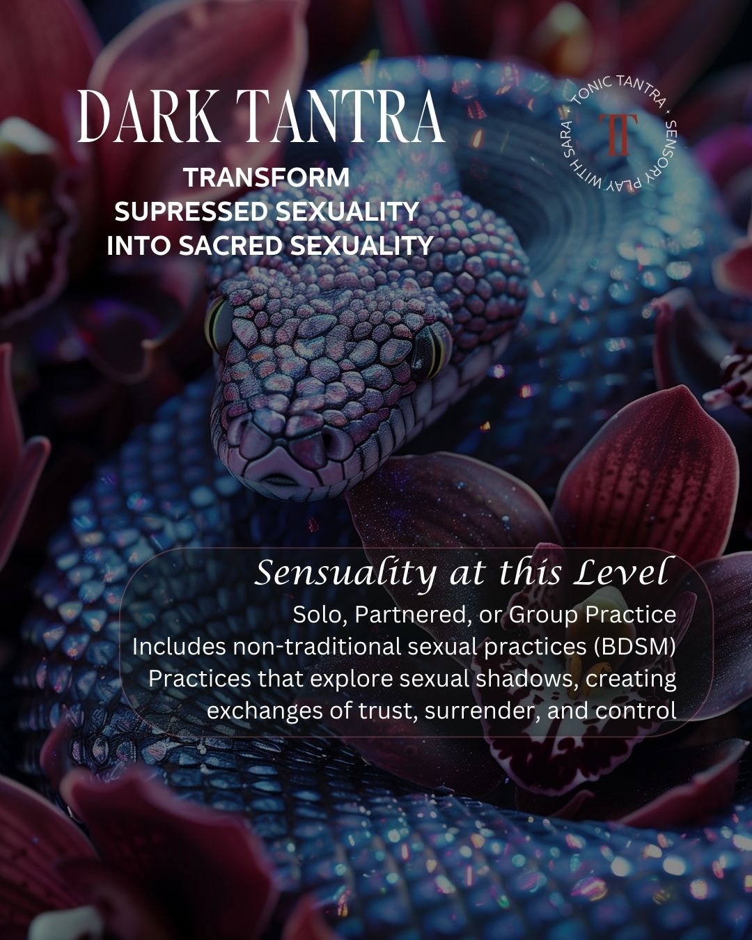 6 Dark Tantra
