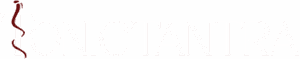 tonic tantra logo mobile